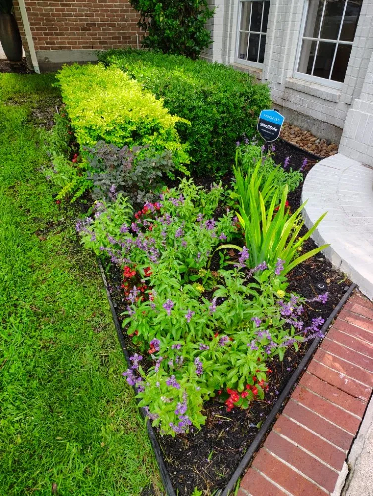 Local yard cleanup service in Houston, TX by Ava Landscape