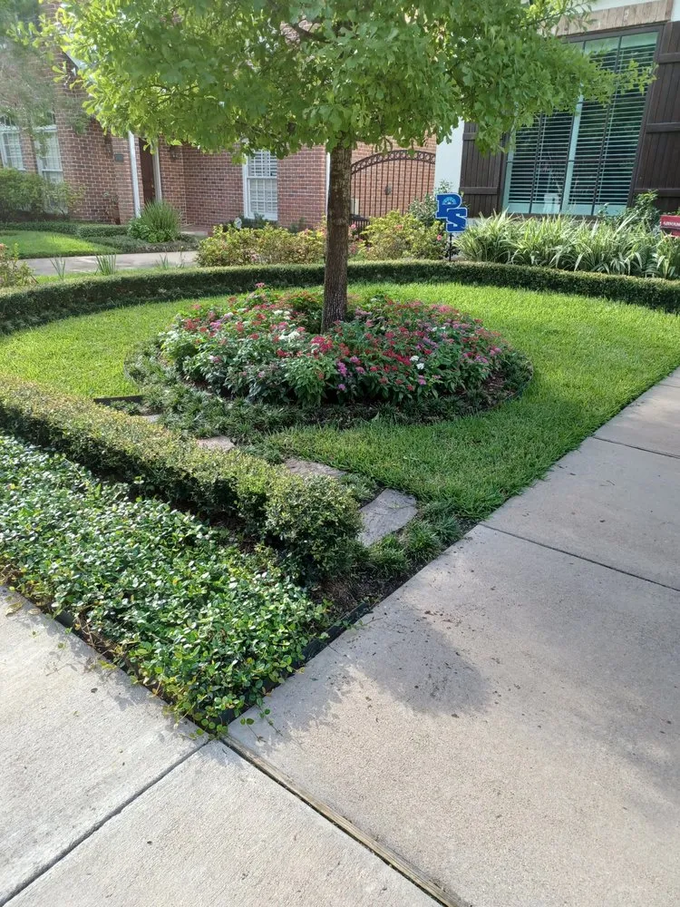 Professional landscape design in Houston, TX by Ava Landscape