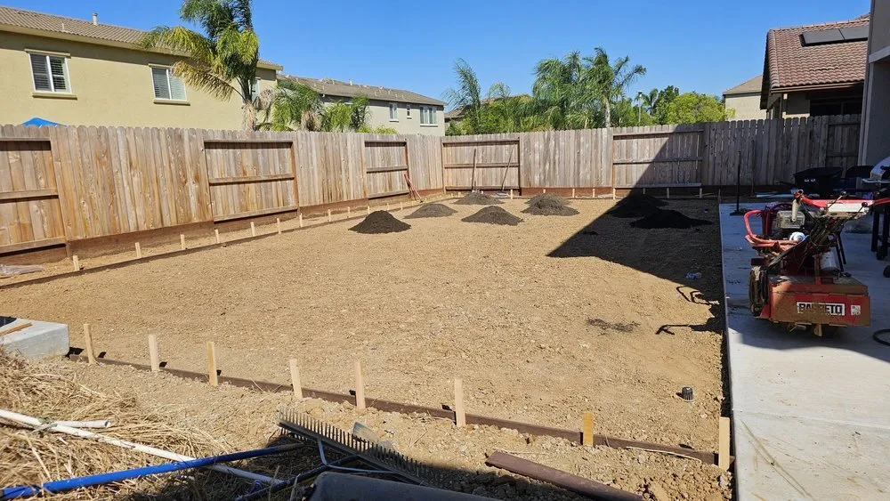 Professional yard cleanup service with custom design in Arden-Arcade, CA by AVA Landscaping Services