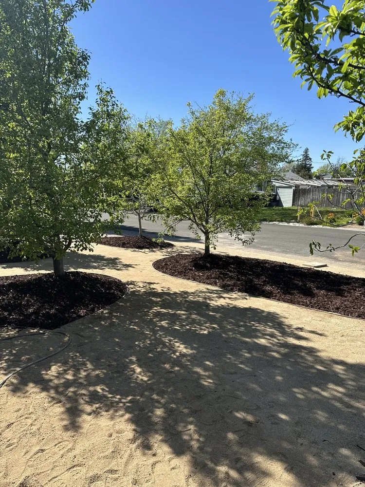 Top-rated outdoor landscaping experts serving Arden-Arcade, CA - AVA Landscaping Services