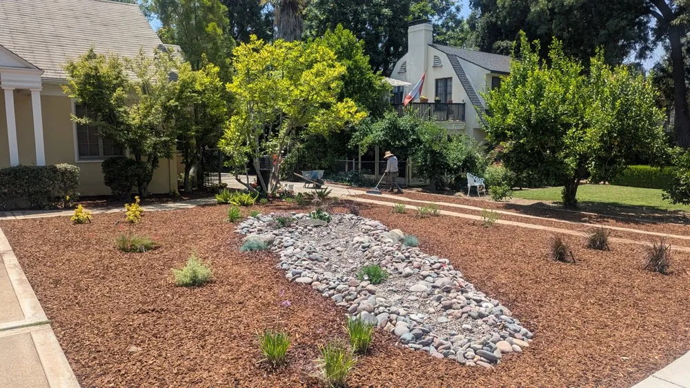 Top-rated lawn mowing service experts serving Redlands, CA - Avagreen