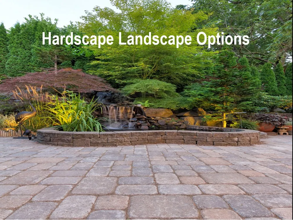 Reliable yard maintenance experts serving Redlands, CA - Avagreen