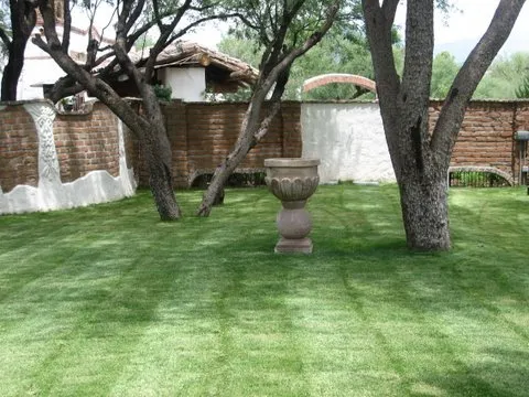 Reliable lawn mowing service for residential properties across Redlands, CA - Avagreen