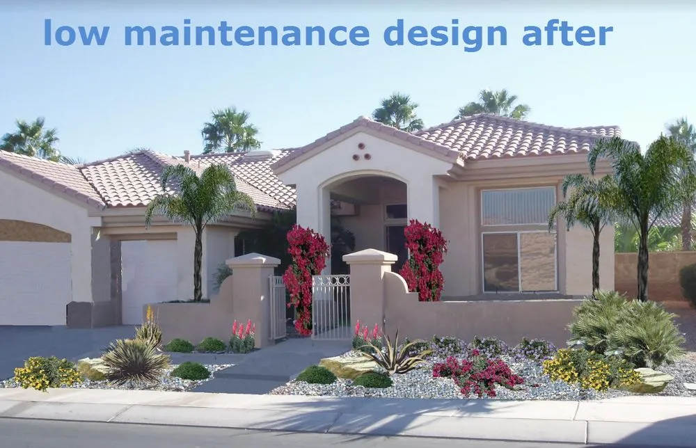 Expert yard cleanup service experts serving Redlands, CA - Avagreen