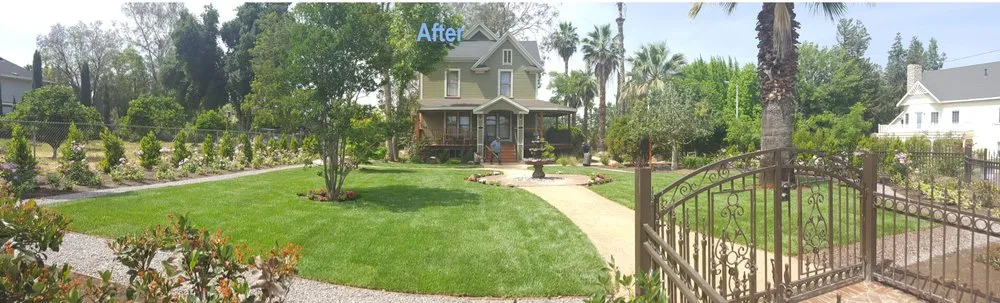 Top-rated outdoor landscaping with custom design across Redlands, CA - Avagreen