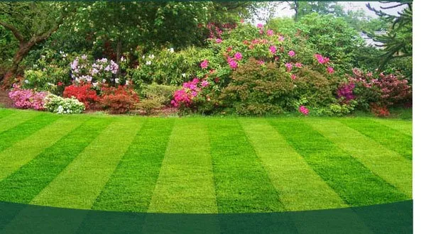 Top-rated lawn mowing service in Forest Park, GA - Available Lawncare & Pressure Washing