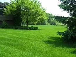 Trusted yard cleanup service experts serving Forest Park, GA - Available Lawncare & Pressure Washing