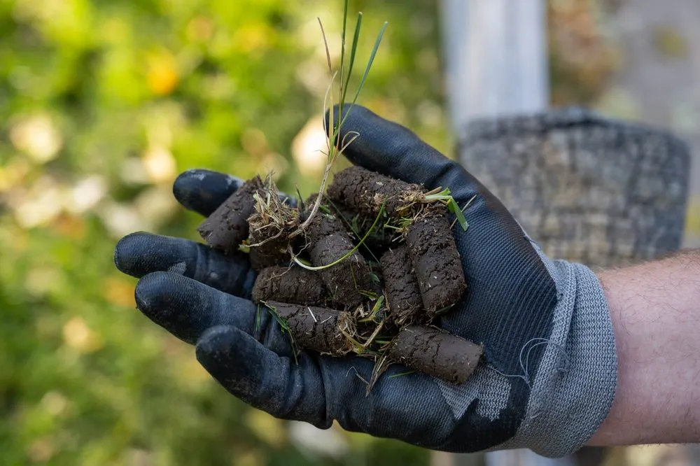 Top-rated outdoor landscaping experts serving Golden, CO - Avalanche Aeration