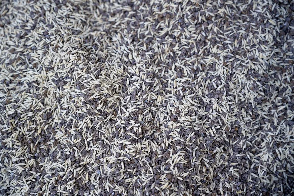 Professional landscape installation in Golden, CO by Avalanche Aeration