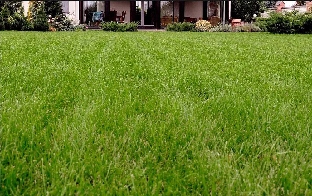 Custom lawn care service in Golden, CO - Avalanche Aeration