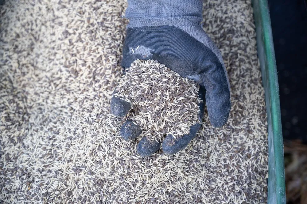 Top-rated garden landscaping experts serving Golden, CO - Avalanche Aeration