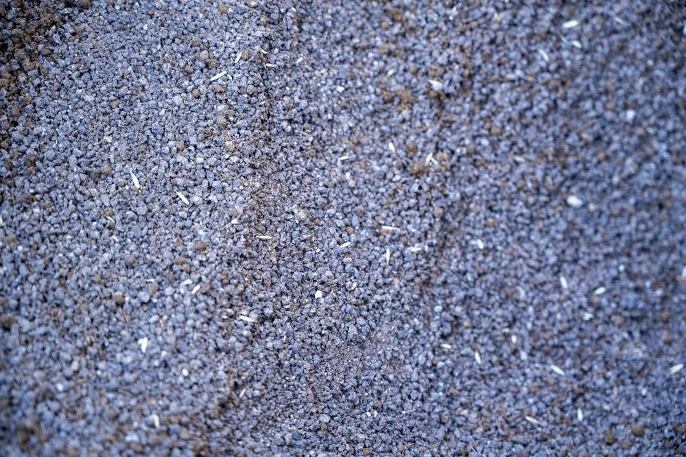 Trusted yard cleanup service experts serving Golden, CO - Avalanche Aeration