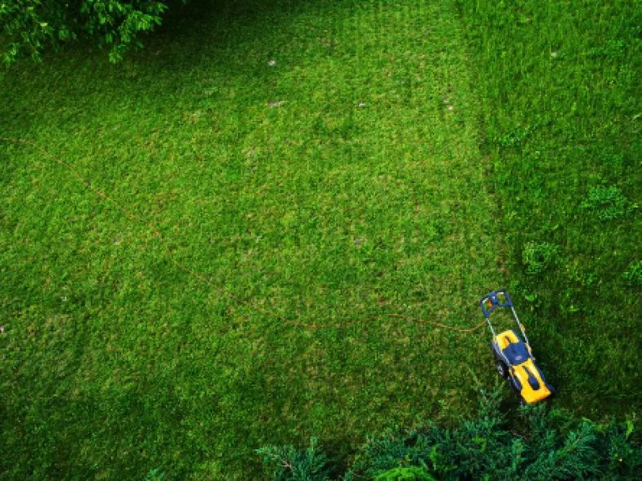 Local lawn care service in New Haven, CT - Avalanche Tree & Landscaping