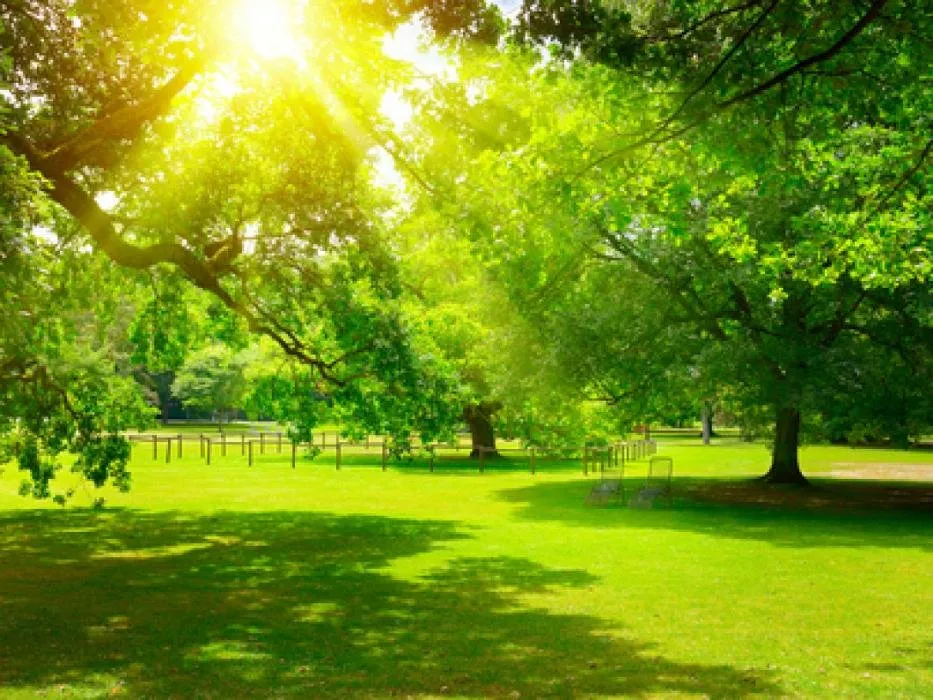 Reliable landscaping services for year-round maintenance in New Haven, CT by Avalanche Tree & Landscaping