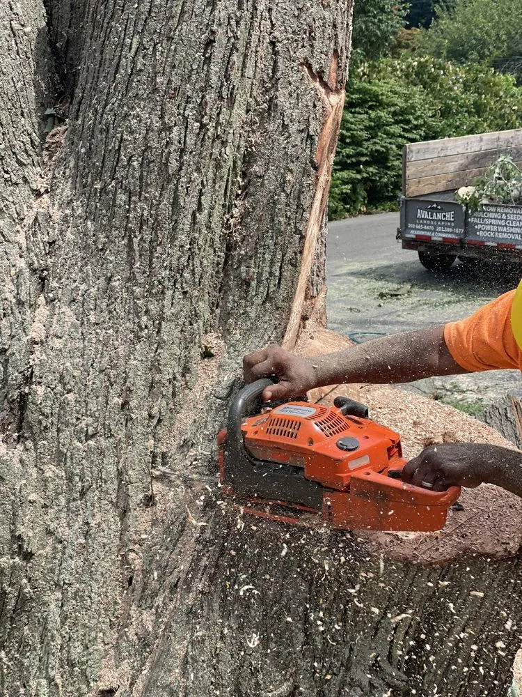 Custom outdoor landscaping for beautiful yards in New Haven, CT by Avalanche Tree & Landscaping