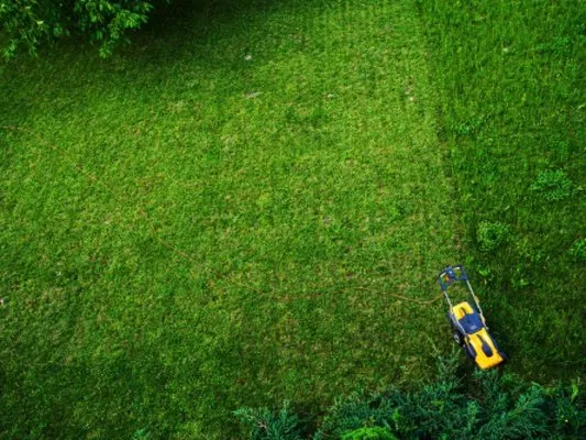 Avalanche Tree & Landscaping Logo