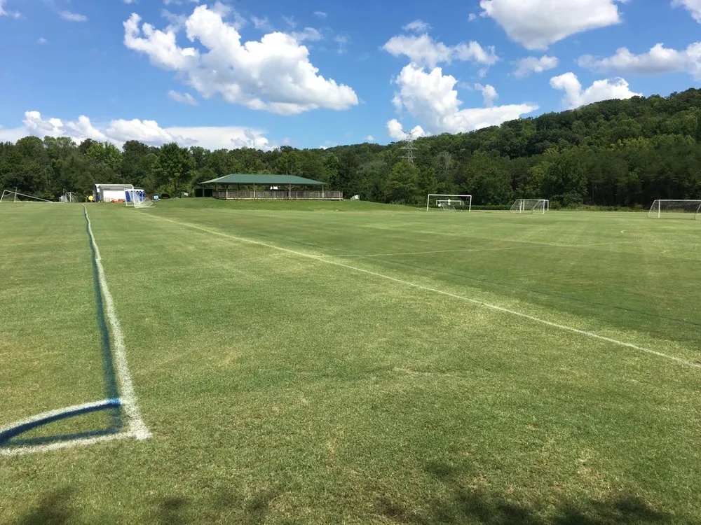 Local lawn mowing service for homes in Knoxville, TN by AvaLawn