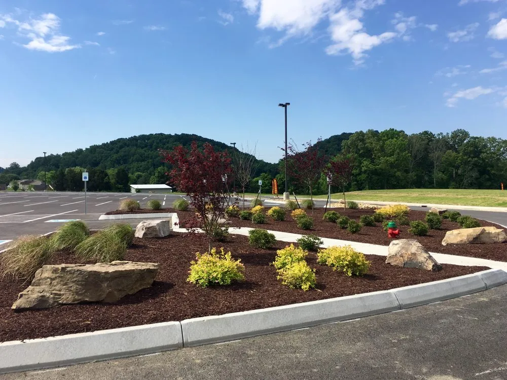 Local landscape design in Knoxville, TN by AvaLawn