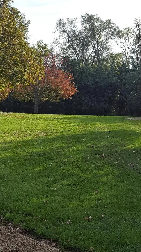 Expert landscaping services for year-round maintenance in Manchester, MO by Avalawn Outdoor Solutions