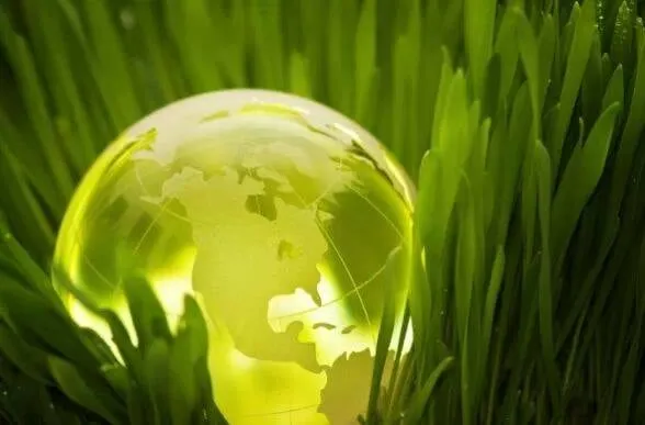 Expert landscape design in Manchester, MO by Avalawn Outdoor Solutions