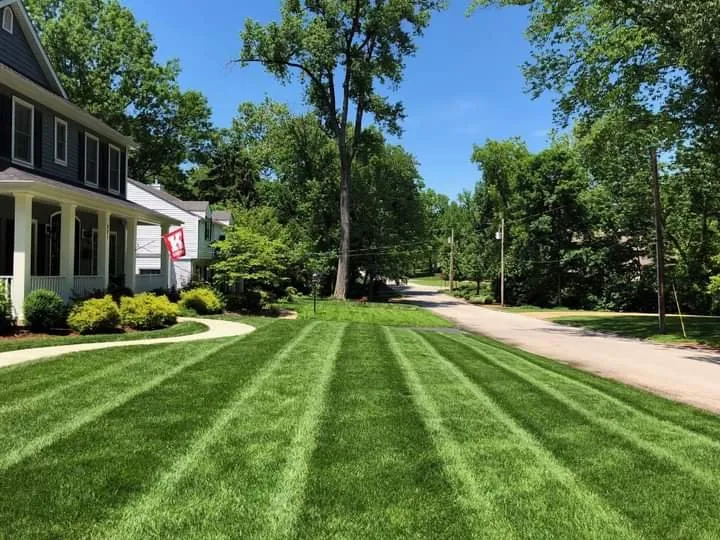 Reliable lawn mowing service in Manchester, MO by Avalawn Outdoor Solutions