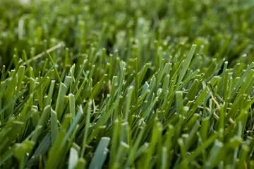 Avalawn Outdoor Solutions