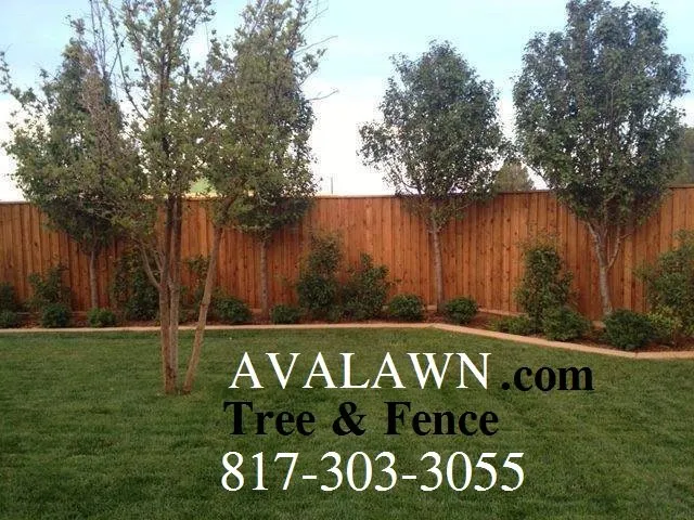Professional yard maintenance with custom design across Arlington, TX - Avalawn Tree Service