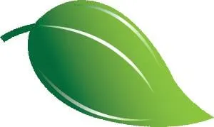 Professional lawn mowing service in Arlington, TX by Avalawn Tree Service