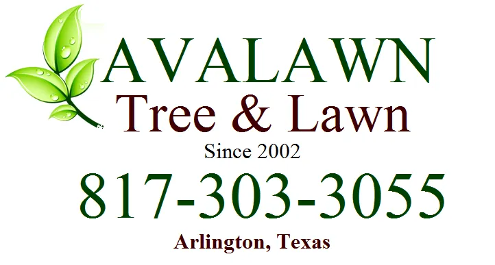 Local residential landscaping for homes in Arlington, TX by Avalawn Tree Service