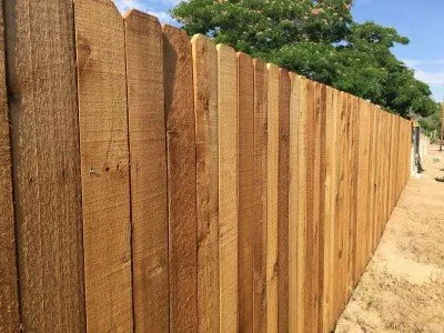 Reliable lawn mowing service in Arlington, TX - Avalawn Tree Service