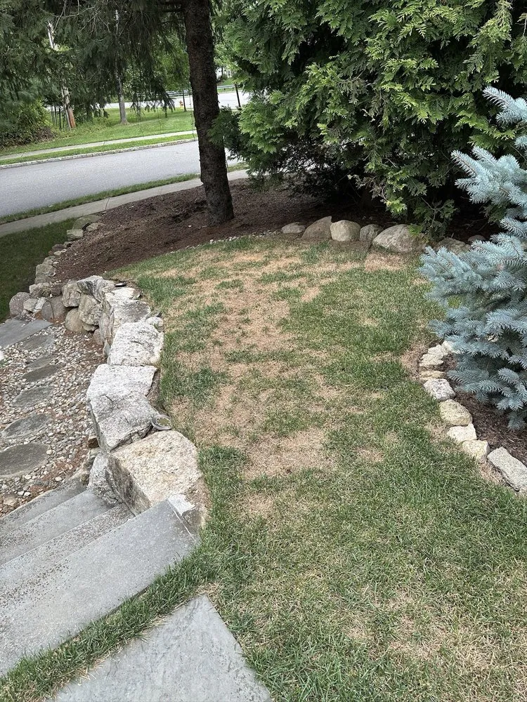 Reliable garden landscaping in Dover, NJ by Avallone Lawn Care