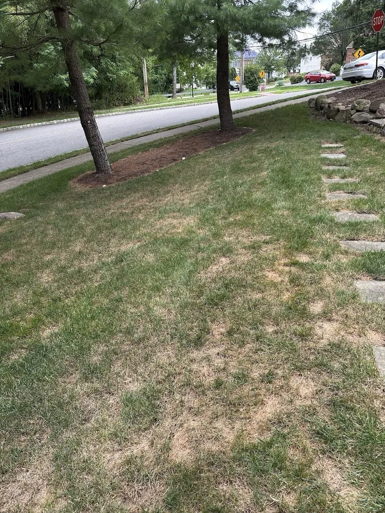 Expert garden landscaping for homes across Dover, NJ - Avallone Lawn Care