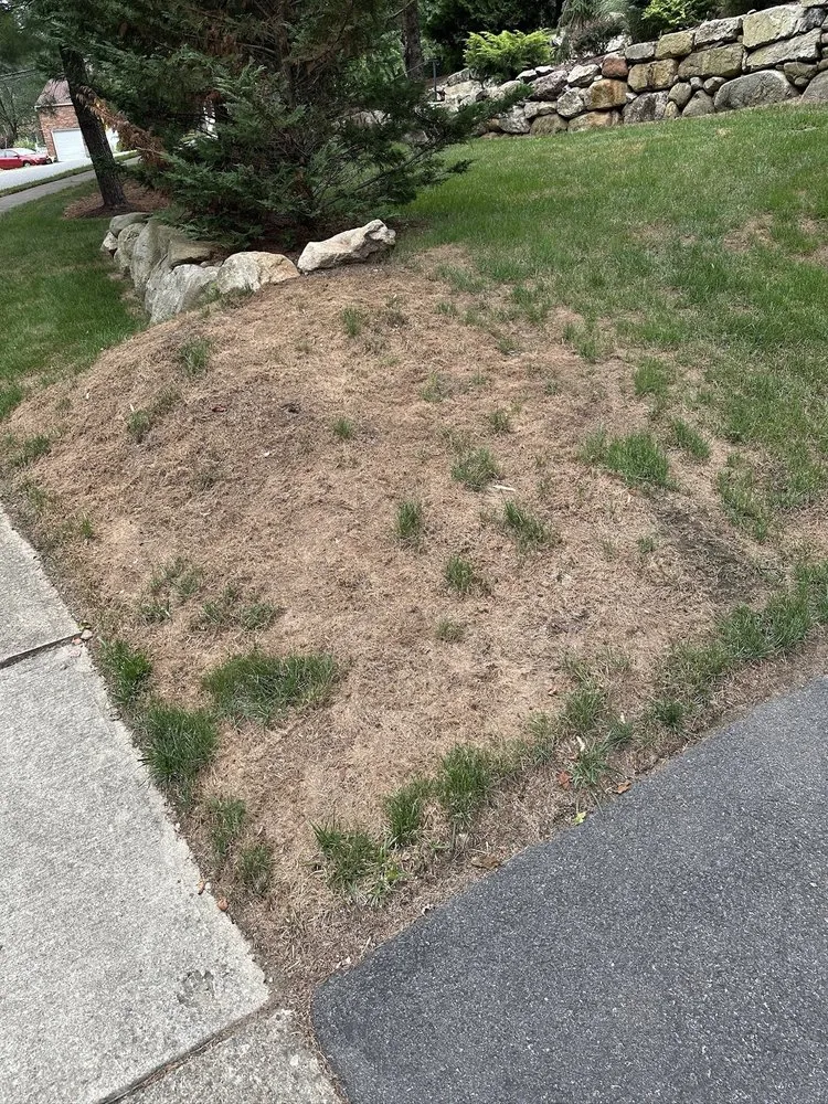 Professional yard cleanup service with custom design in Dover, NJ by Avallone Lawn Care