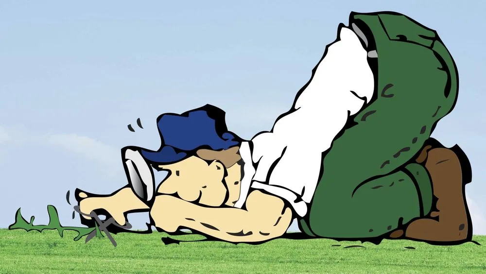 Affordable yard cleanup service in Dover, NJ - Avallone Lawn Care