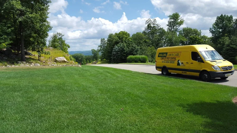 Local lawn mowing service in Dover, NJ by Avallone Lawn Care