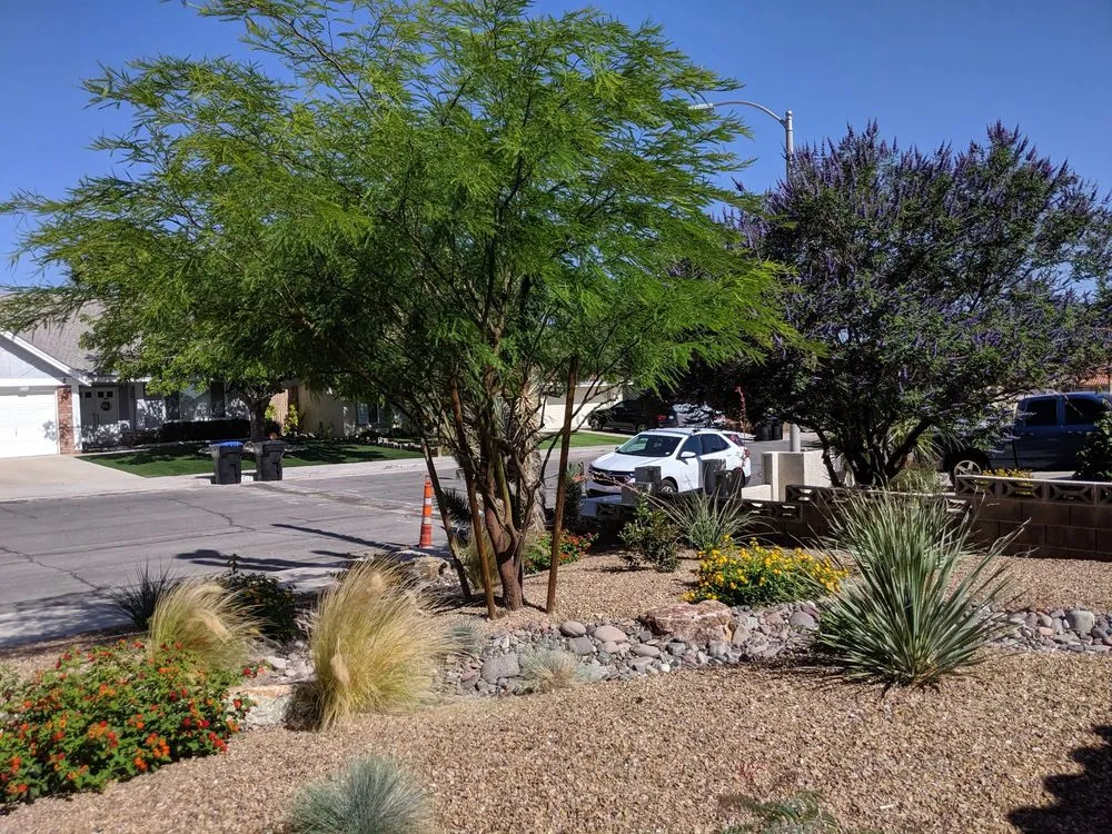 Top-rated yard maintenance near you across Las Vegas, NV - Avalon Enviroscapes