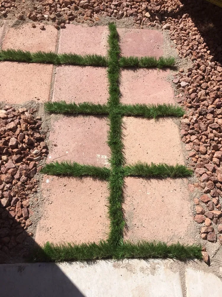 Local residential landscaping for beautiful yards across Las Vegas, NV - Avalon Enviroscapes