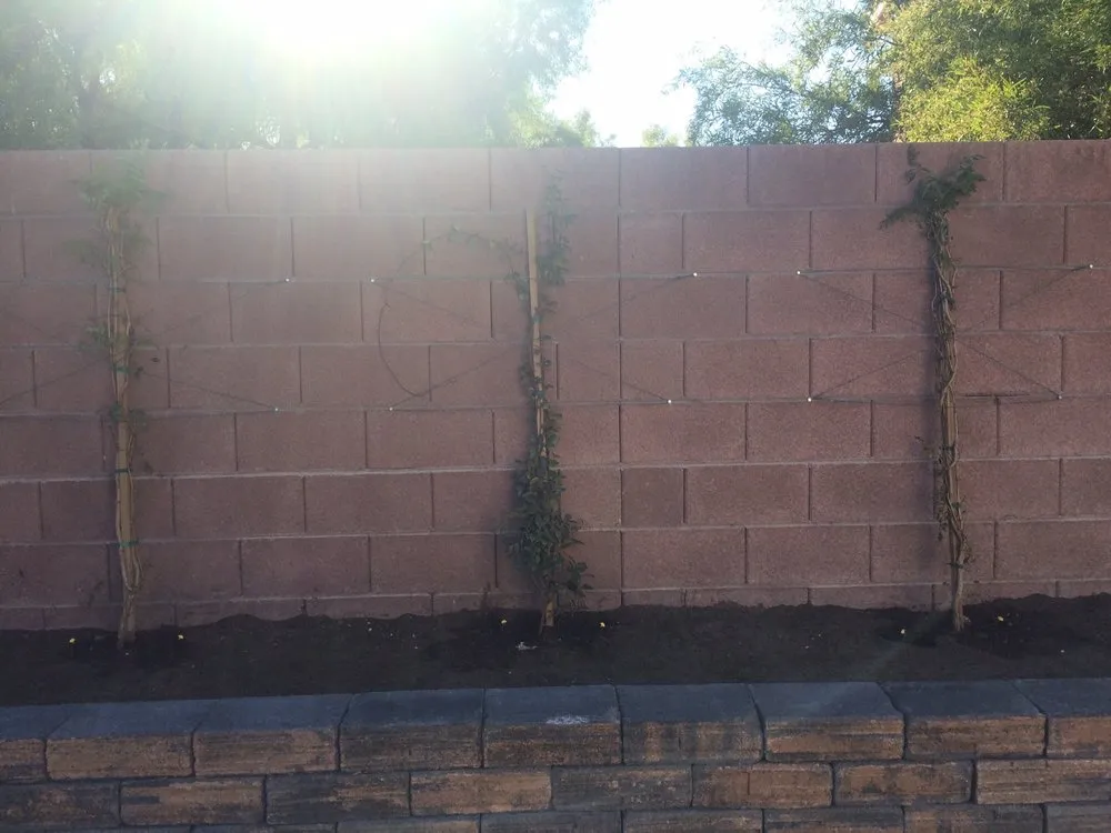 Top-rated residential landscaping in Las Vegas, NV by Avalon Enviroscapes