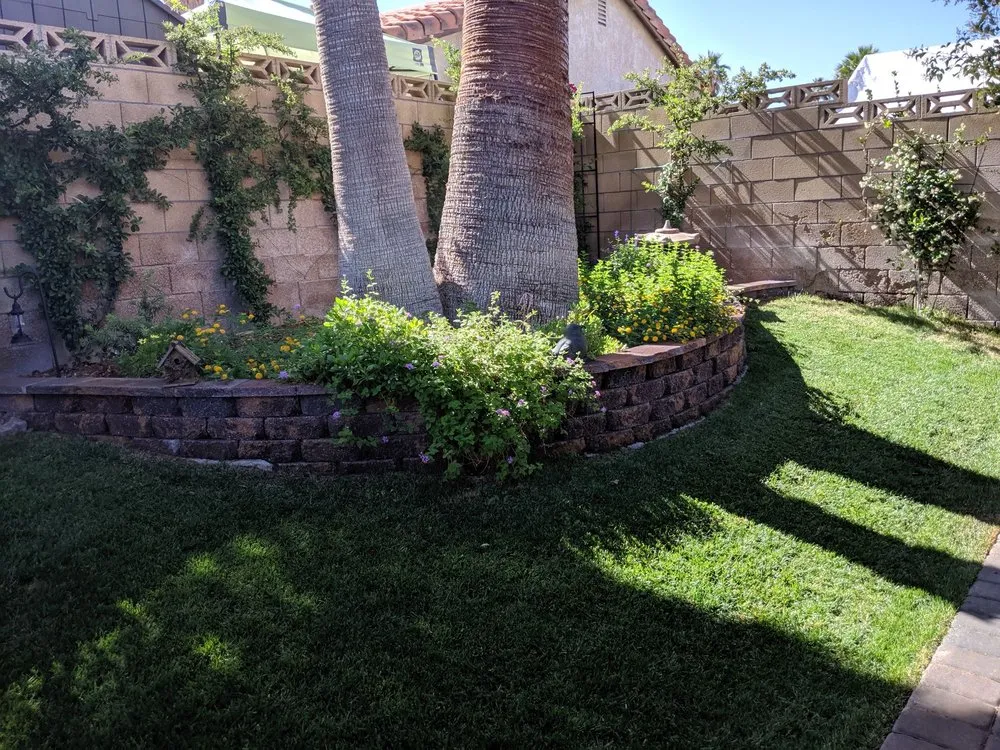 Top-rated yard maintenance for outdoor upgrades across Las Vegas, NV - Avalon Enviroscapes