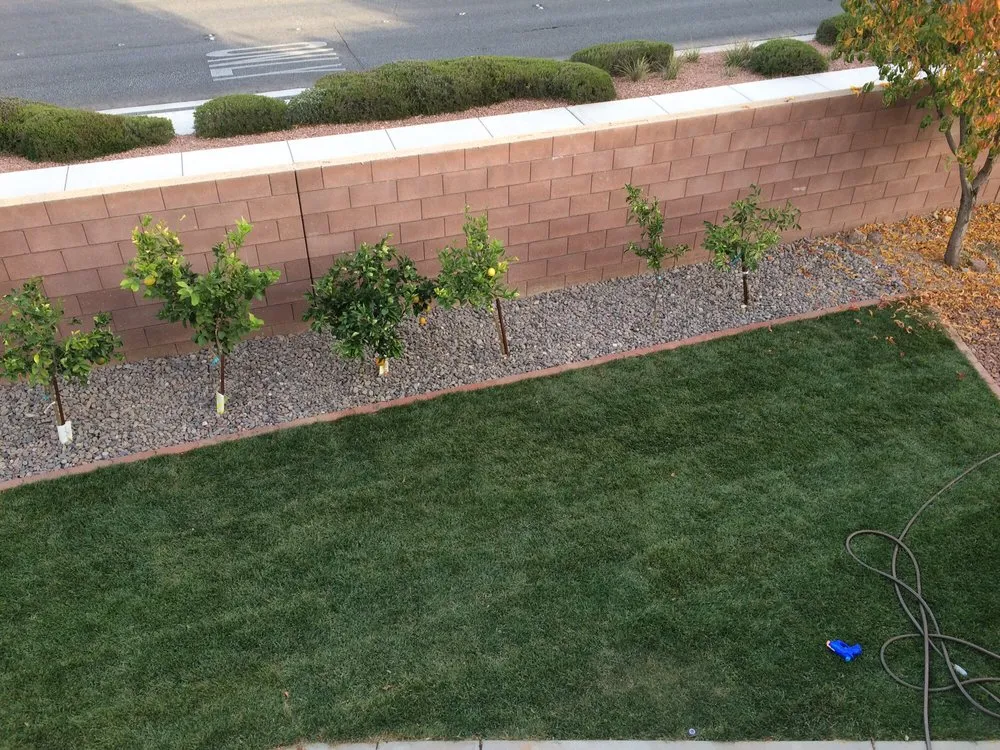 Top-rated residential landscaping for outdoor upgrades across Las Vegas, NV - Avalon Enviroscapes