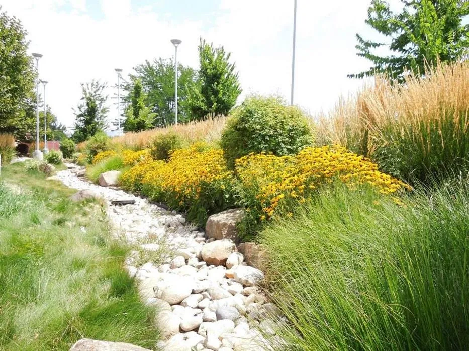 Expert landscape installation experts serving Meridian, ID - Avalon Landscapes