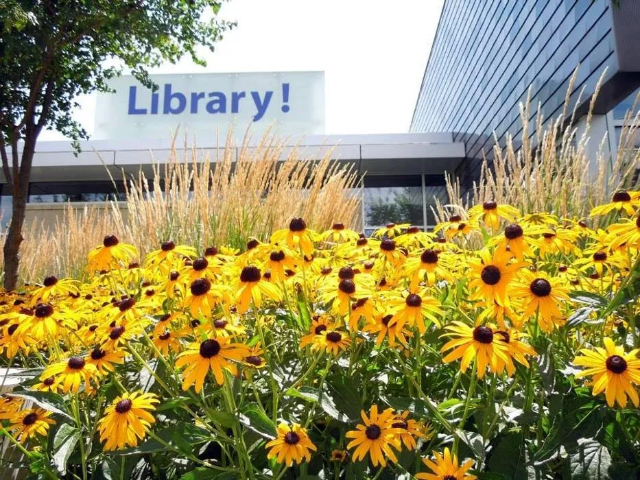 Top-rated yard cleanup service with custom design across Meridian, ID - Avalon Landscapes