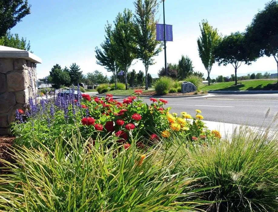 Reliable yard cleanup service in Meridian, ID by Avalon Landscapes