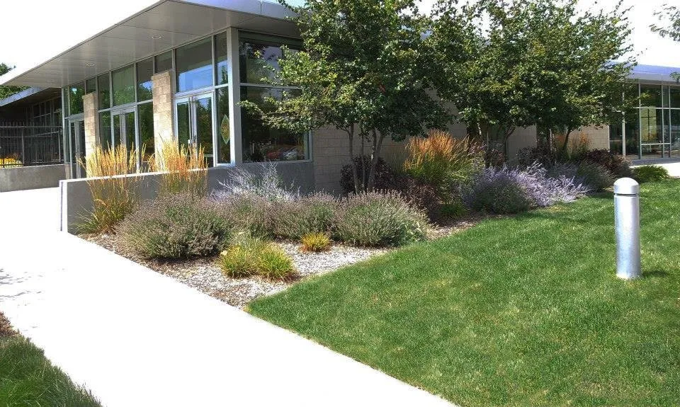 Expert lawn care service for year-round maintenance in Meridian, ID by Avalon Landscapes