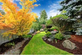 Affordable yard maintenance experts serving Santa Cruz, CA - Avalon Landscapes
