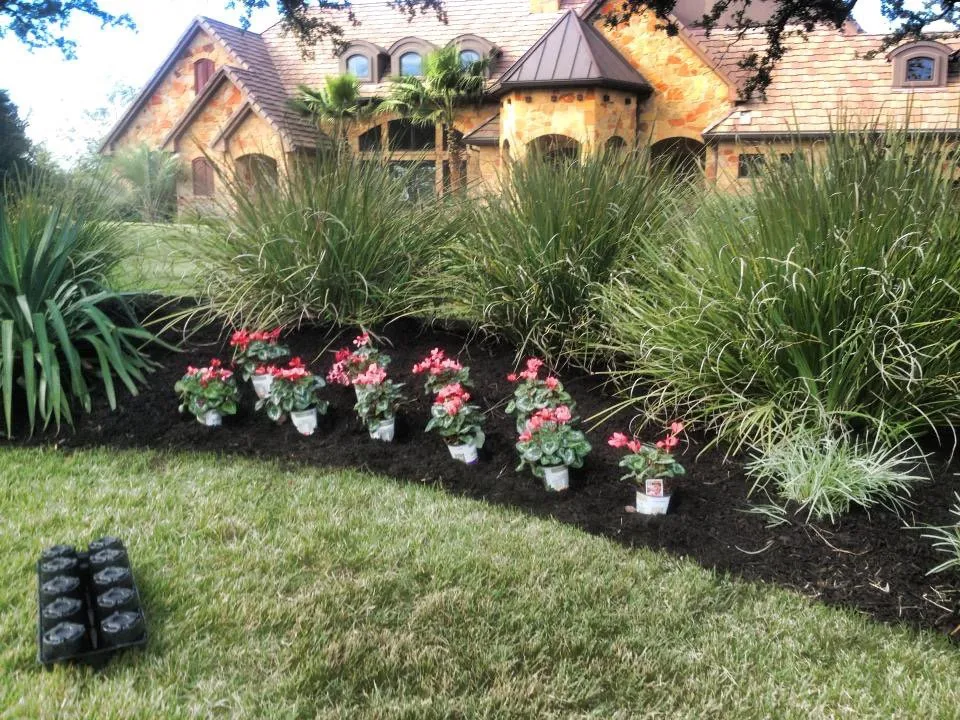 Top-rated yard cleanup service experts serving Burnet, TX - Avalon Landscaping & Design