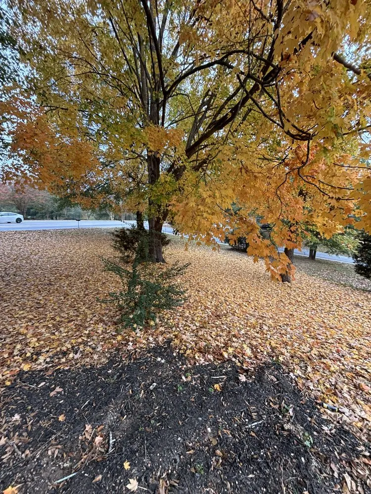 Custom garden landscaping in Norcross, GA by Avalon’s Landscaping