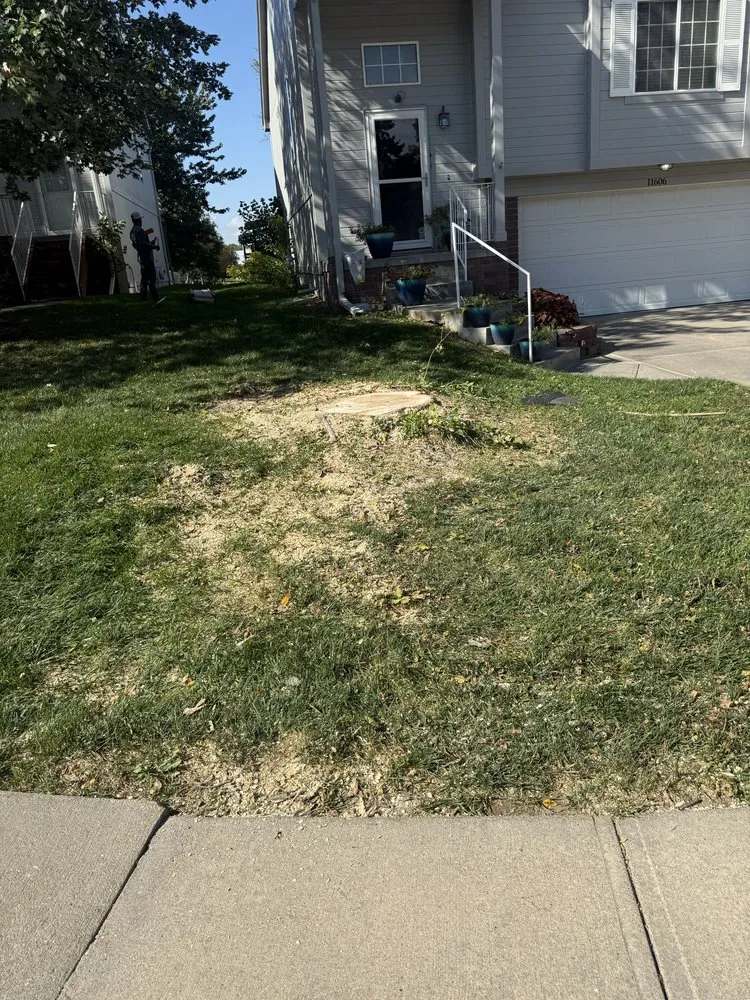 Top-rated landscape installation in Omaha, NE by Avalos & Merksick