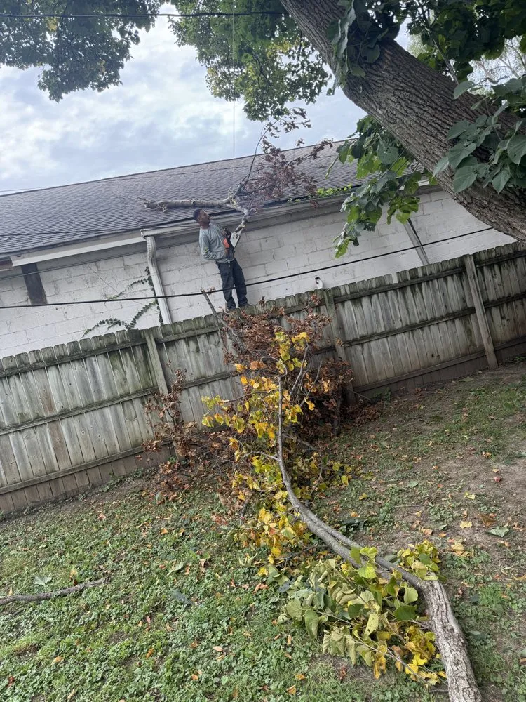 Custom yard cleanup service near you across Omaha, NE - Avalos & Merksick