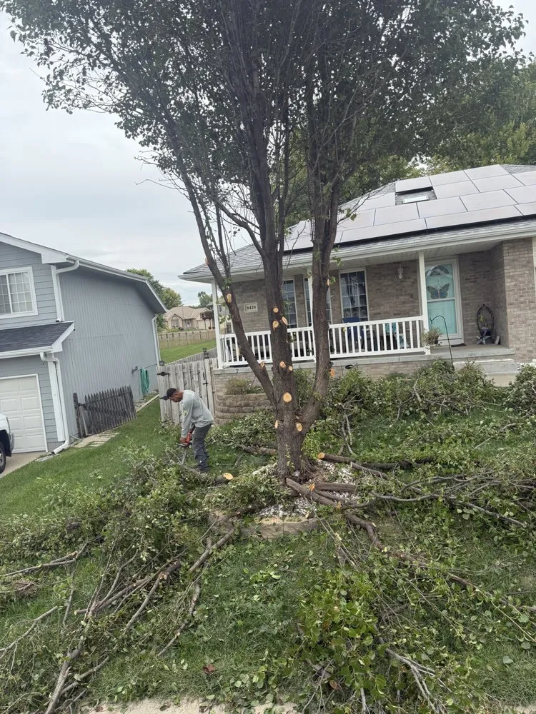 Professional landscaping services in Omaha, NE - Avalos & Merksick